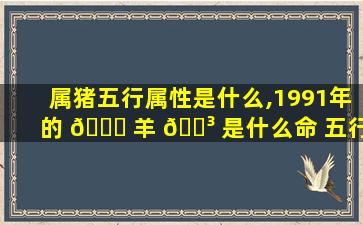 属猪五行属性是什么,1991年的 🐋 羊 🌳 是什么命 五行属什么